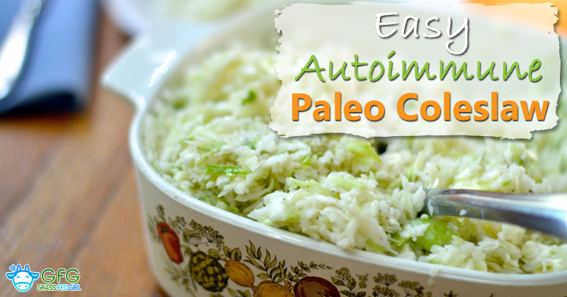 Paleo Coleslaw Recipe: Autoimmune |Recipes Grass Fed Girl