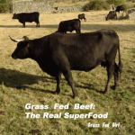 Grass Fed Beef: The Real Super Food