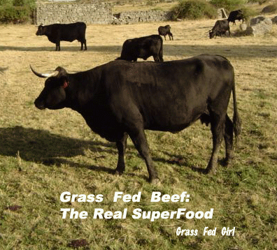grass fed beef: superfood