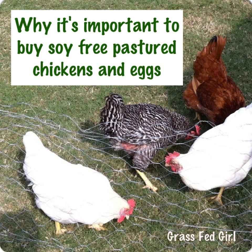 why buy soy free pastured eggs