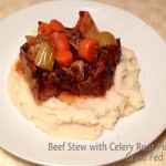 Paleo Beef Stew With Celery Root Puree
