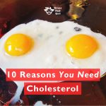 10 Reasons You Need Cholesterol
