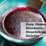 Homemade Healing Blueberry Gelatin 