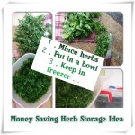 Money Saving Idea for Using and Storing Fresh Herbs