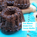Easy 10 Minute Chocolate Muffin (grain-free, gluten-free, dairy free)
