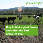 How to Source and Select Quality Grass Fed Beef for a Paleo or Real Food Diet