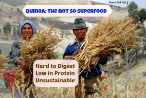 quinoa: the not so superfood