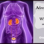 Adrenal Fatigue FAQ: what, how, and why…