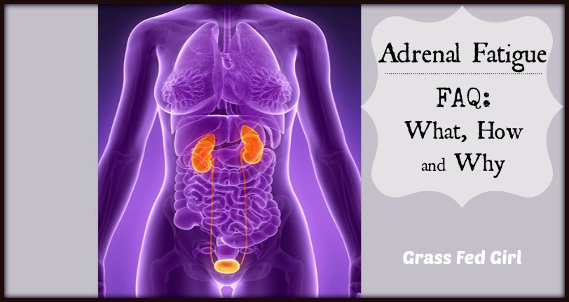 Adrenal Fatigue FAQ: what, how, and why...