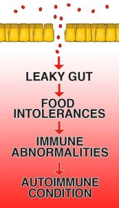 Leaky gut process