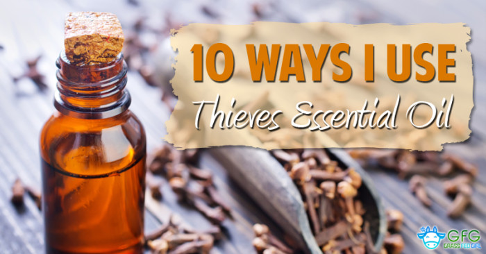 10 Ways I Have Used Thieves Essential Oil