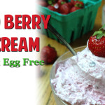 Mixed Berry Ice Cream (Dairy and Egg Free)