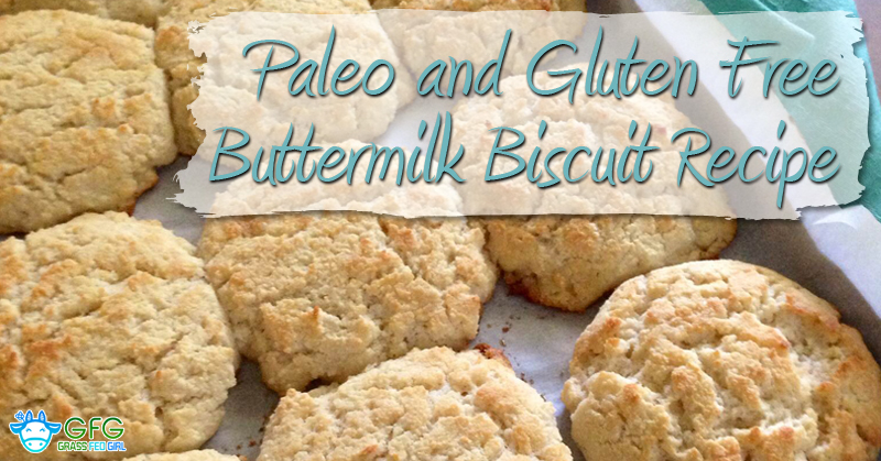 Paleo-and-Gluten-Free-Buttermilk-Biscuit-Recipe