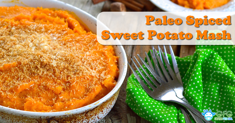 wordpress-Paleo-Spiced-Sweet-Potato-Mash