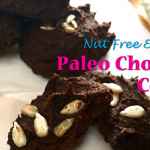Nut Free Paleo Chocolate Cookie Recipe (Gluten Free, Egg Free, Sugar Free, Dairy Free and Low Fodmap)