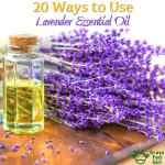 20 Ways to Use for Lavender from Young Living Essential Oils