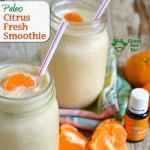 Citrus Fresh Weight Loss Smoothie (Paleo, Low Carb, Gluten Free)