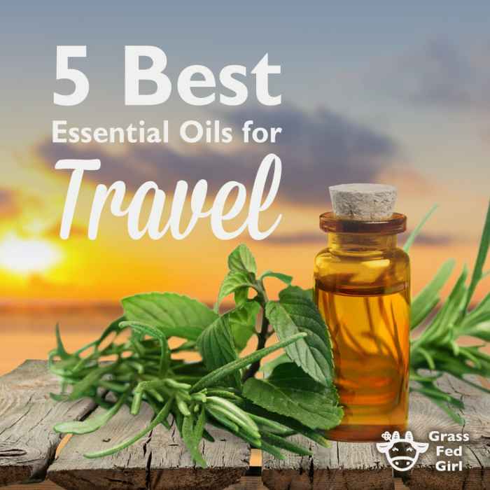 best_essential_ols_for_travel_sq