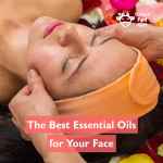 The Best Essential Oils for Your Face