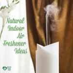Natural Freshener Ideas for Indoor Air Pollution and Air Quality