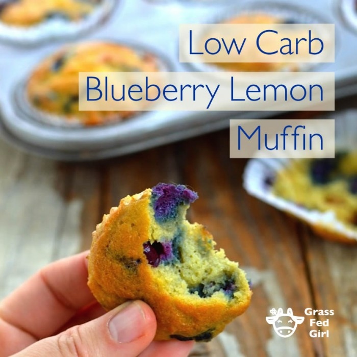 Keto Lemon Blueberry Muffin