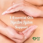 5 Essential Oils for Digestive System Support