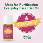 Everyday Essential Oils: Purification Uses and Giveaway