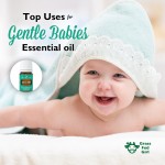 Best Essential Oils Guide for Gentle Babies