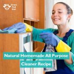 Natural Homemade All Purpose Cleaner Recipe