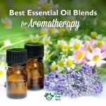Best Essential Oil Aromatherapy Blends