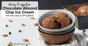 Chocolate Almond Chip low carb Ice Cream recipes