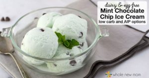 Mint Chocolate/Carob Chip Low Carb Ice Cream recipes