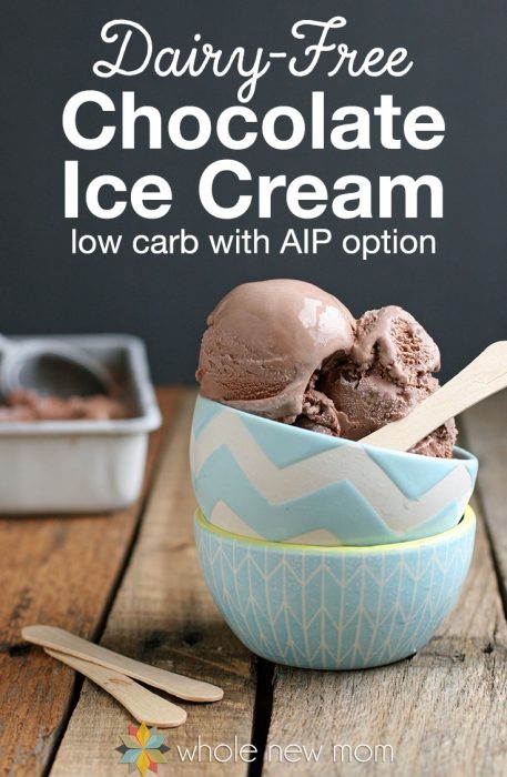 Dairy free chocolate low carb ice cream recipes