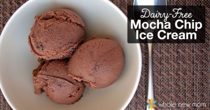 Dairy Free Mocha Chip Low Carb Ice Cream recipes